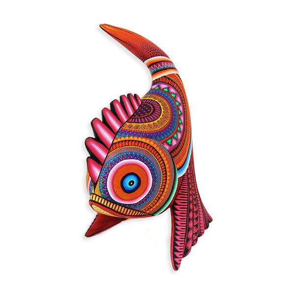 Julia Fuentes: Spectacular Fish
