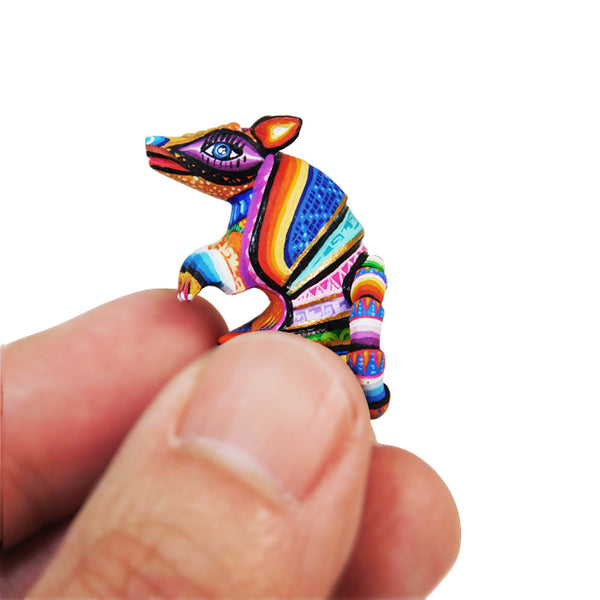 Lucero Fuentes: Micro Miniature Armadillo