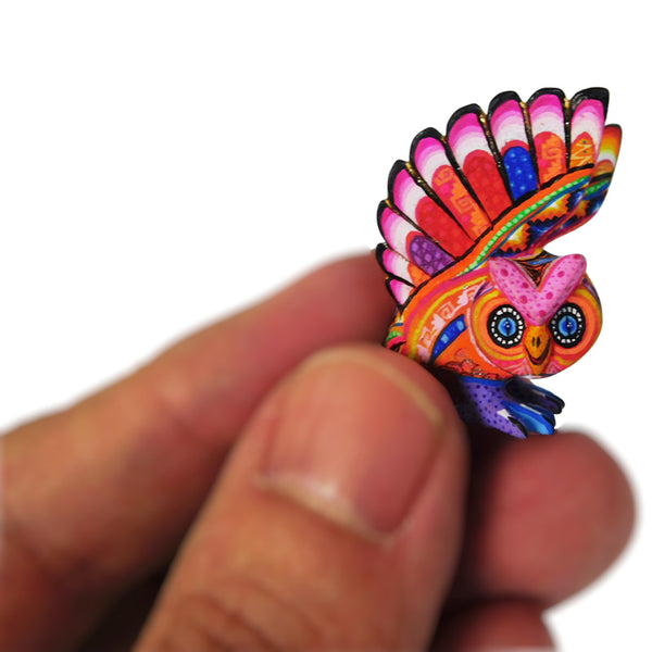 Lucero Fuentes: Amazing Micro Miniature Owl