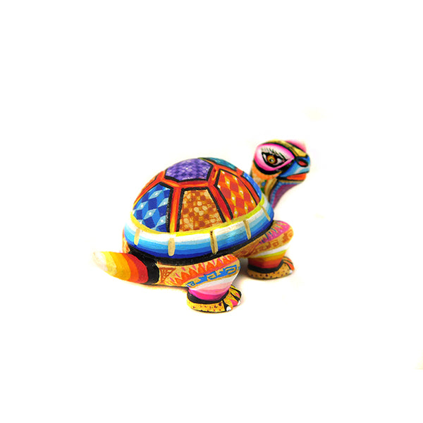 Lucero Fuentes: Impressive Micro Miniature Turtle
