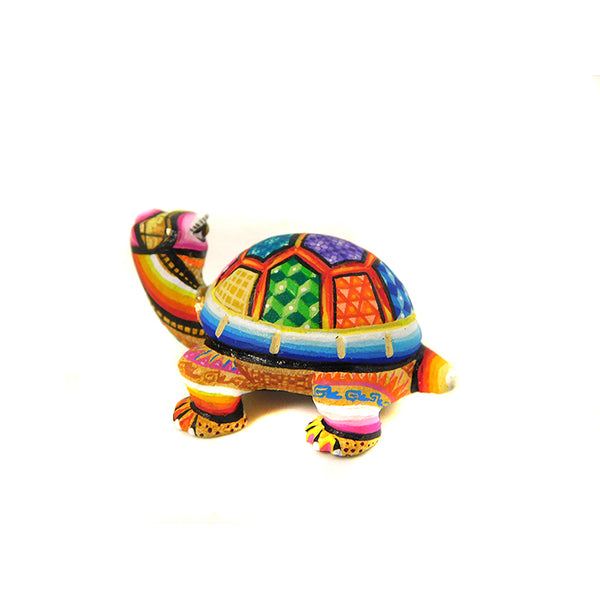 Lucero Fuentes: Impressive Micro Miniature Turtle