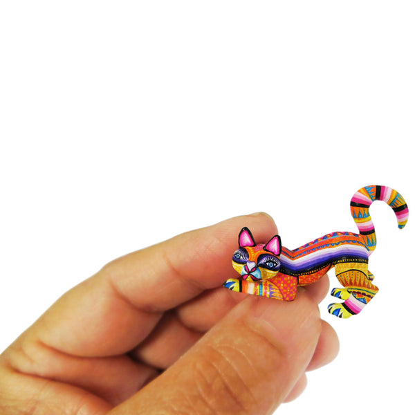 Lucero Fuentes: Delicate Micro Miniature Cat