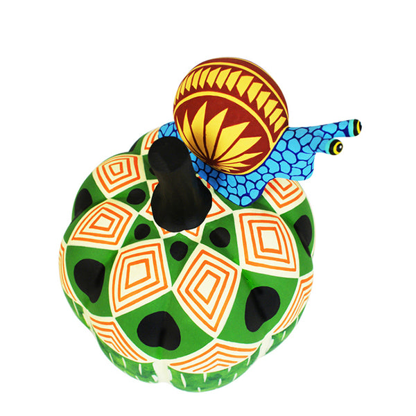 Luis Pablo: One-Piece Snail on Acorn