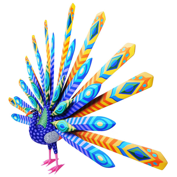 Luis Pablo: Majestic Peacock