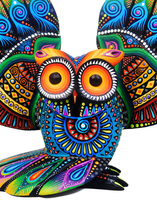Luis Sosa: Abanico Owl