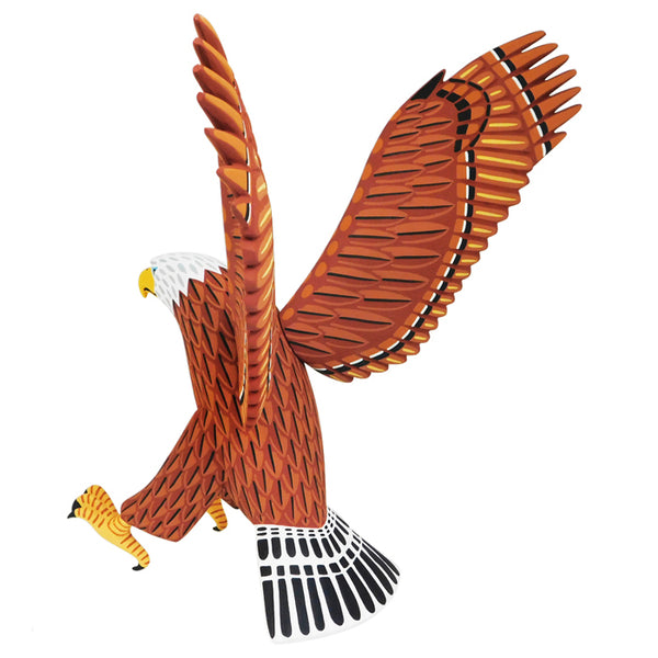 Luis Pablo: Majestic Bald Eagle