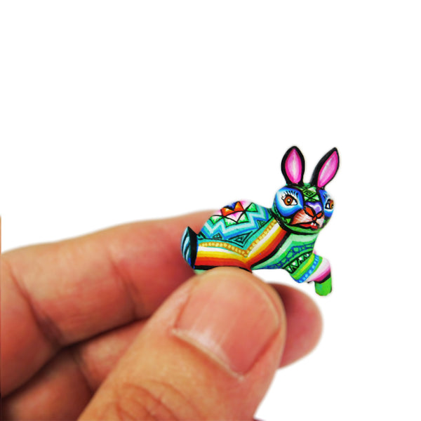 Lucero Fuentes: Impressive Micro Miniature Rabbit