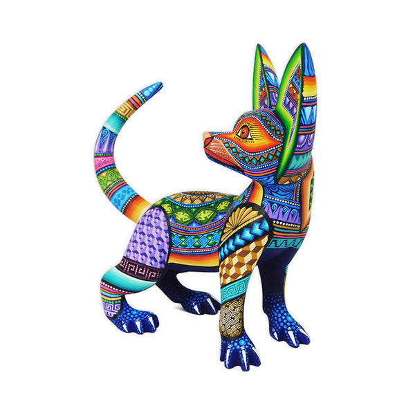 Jose Calvo & Magaly Fuentes: Colorful Dog