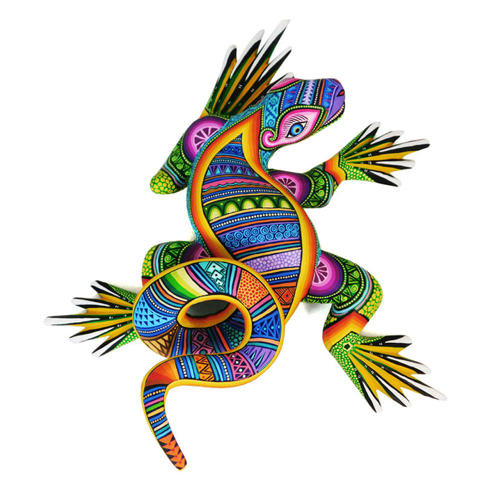 Magaly Fuentes & Jose Calvo: Colorful Lizard