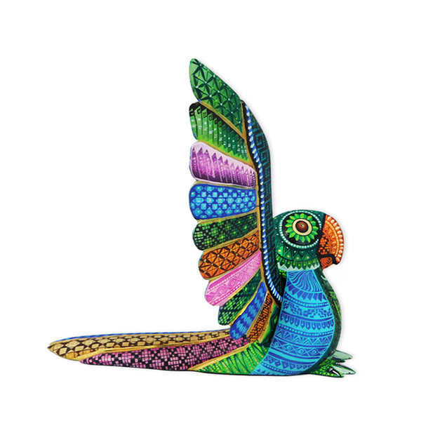 Magaly Fuentes: Parrot