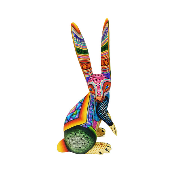 Jose Calvo & Magaly Fuentes: Wonderful Rabbit
