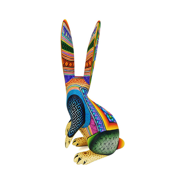 Jose Calvo & Magaly Fuentes: Wonderful Rabbit