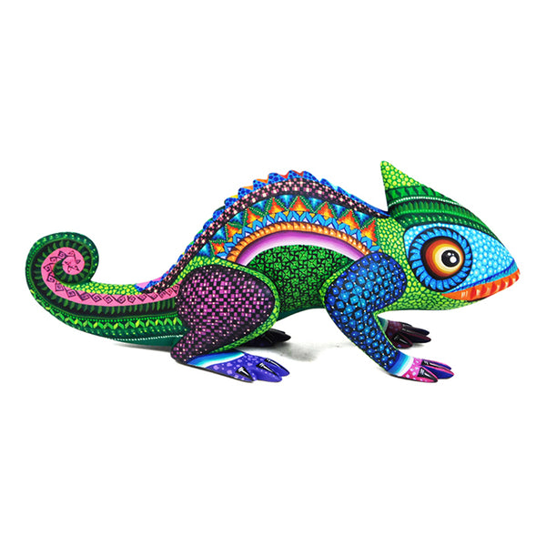 Jose Calvo & Magaly Fuentes: Colorful Chameleon