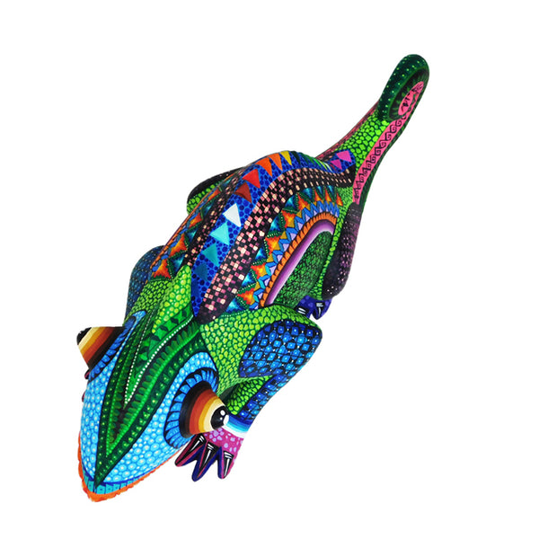 Jose Calvo & Magaly Fuentes: Colorful Chameleon