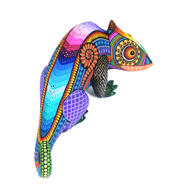 Jose Calvo & Magaly Fuentes: Rainbow Chameleon