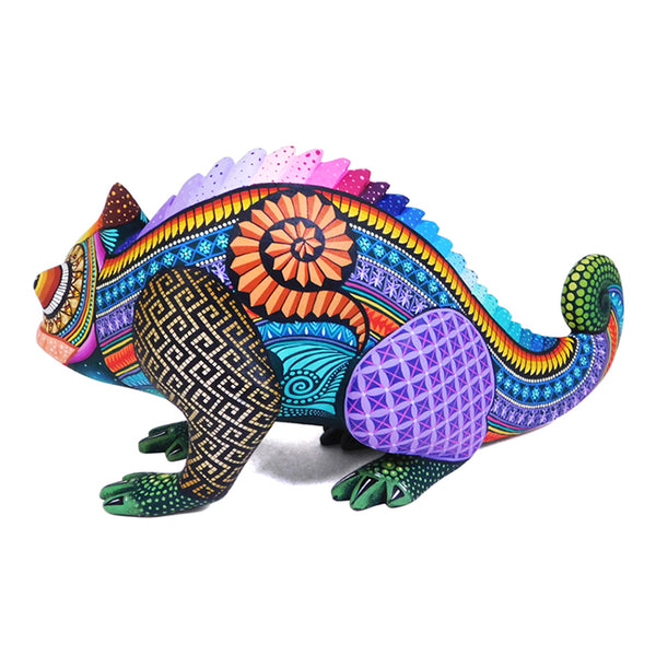 Jose Calvo & Magaly Fuentes: Rainbow Chameleon