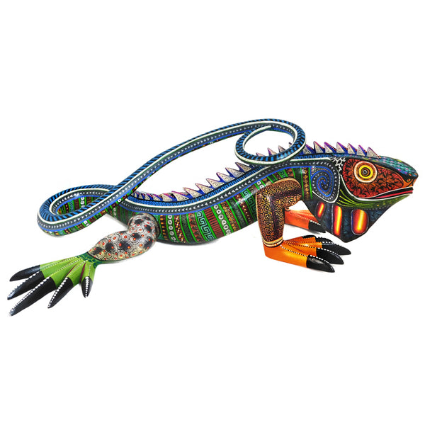 Manuel Cruz: Spectacular Lizard