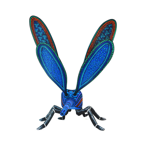 Manuel Cruz: Dragonfly Woodcarving