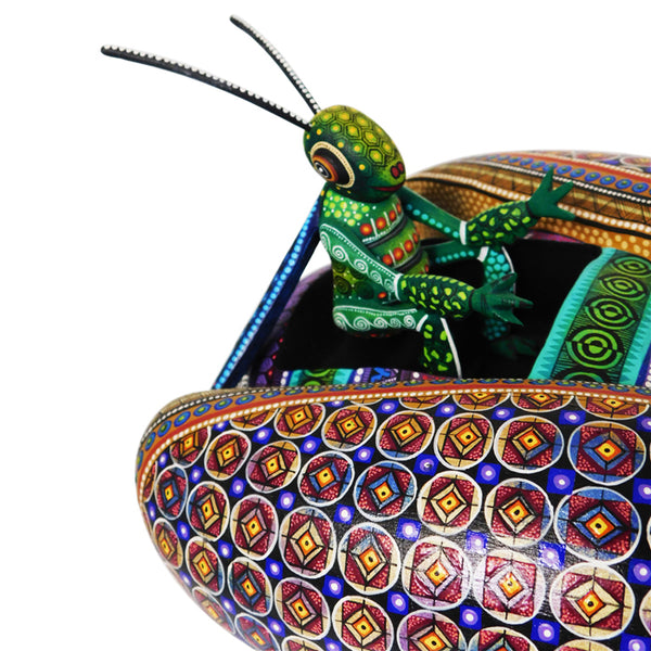 Manuel Cruz: Masterpiece Flying Beetle