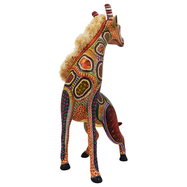 Manuel Cruz: Kordofan Giraffe