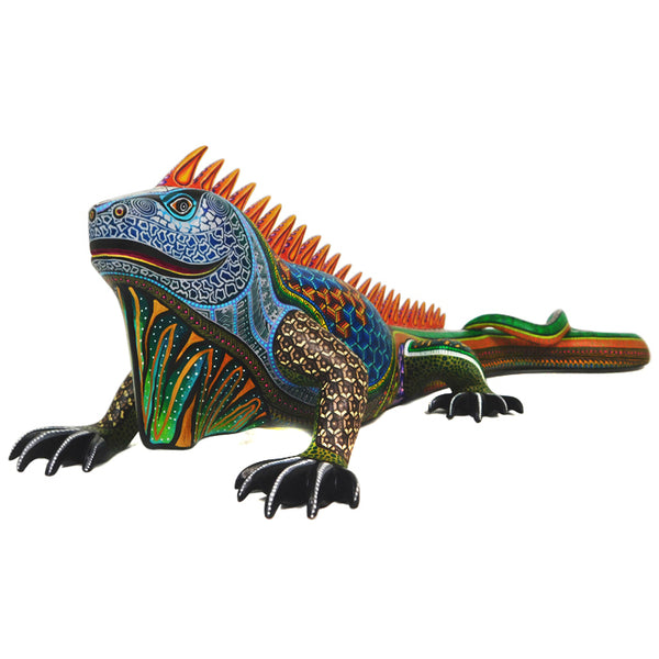 Manuel Cruz: Spectacular Iguana Sculpture