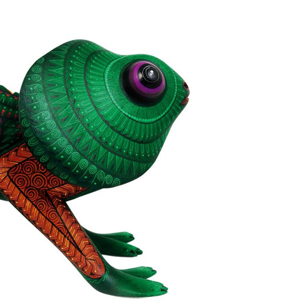 Marcos Hernandez: Splendid Chameleon