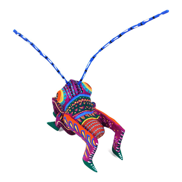 Margarito Rodriguez: Grasshopper