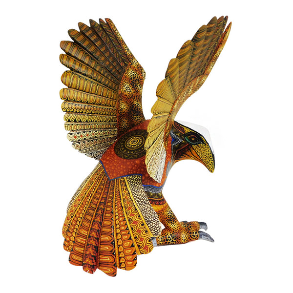 Margarito Melchor Jr: Spectacular Falcon