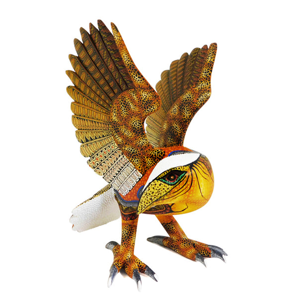 Margarito Melchor Jr: Spectacular Falcon
