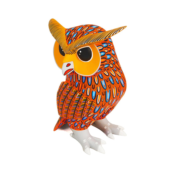 Narciso Gonzalez: Beautiful Owl Woodcarving
