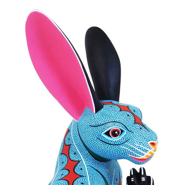 Narciso Gonzalez: Rabbit