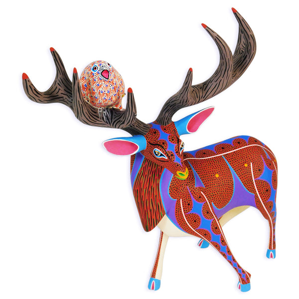 Narciso Gonzalez: One-Piece Deer With Bird