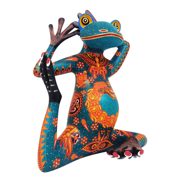 Nicolas Morales: Fantastic Yoga Frog