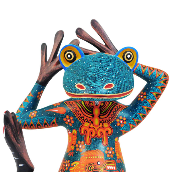 Nicolas Morales: Fantastic Yoga Frog