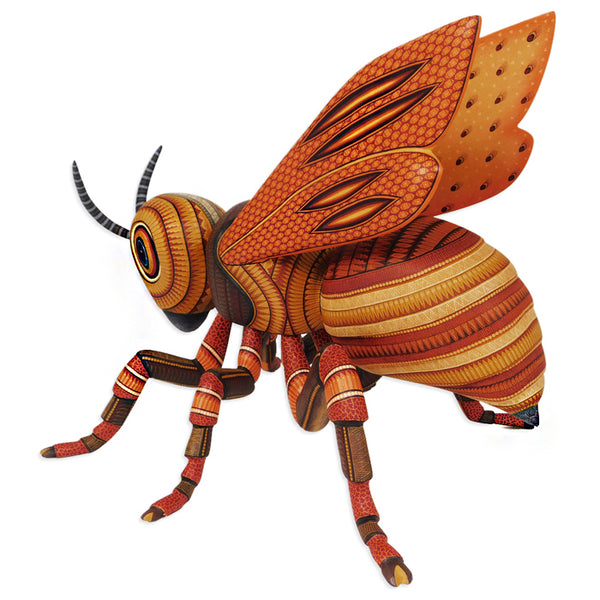 Omar & Areli Cruz: Impressive Bee Masterpiece