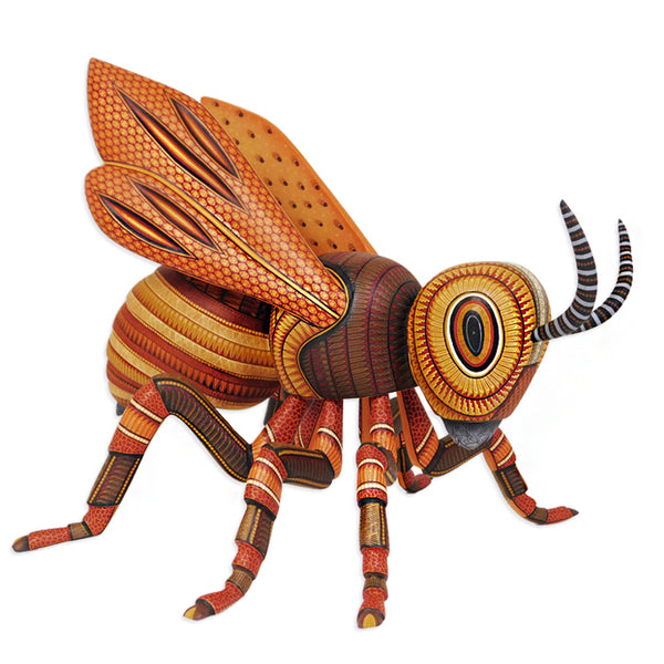 Omar & Areli Cruz: Impressive Bee Masterpiece
