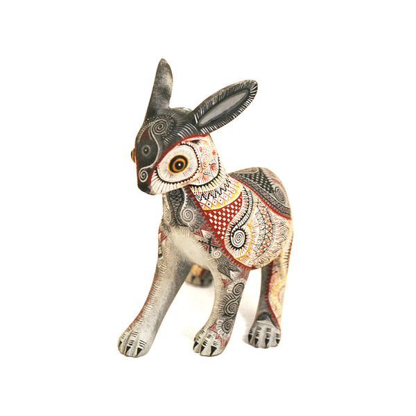 Raymundo Fabian: Beautiful Miniature Hare