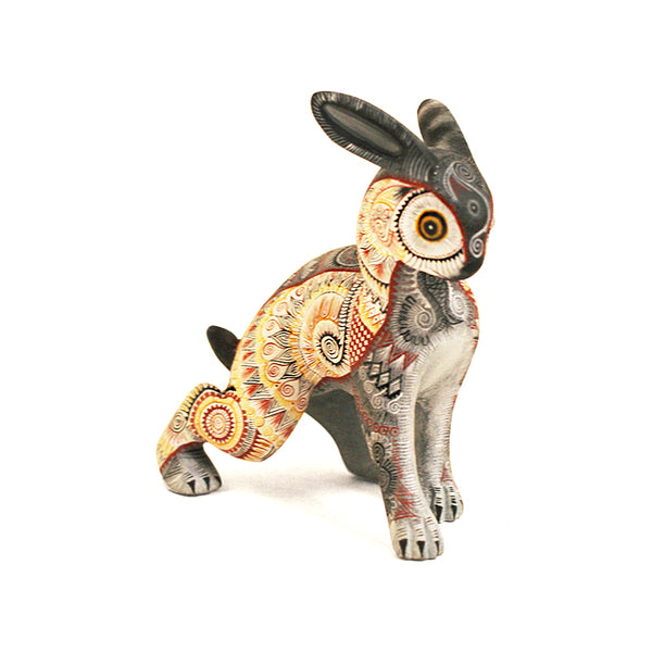 Raymundo Fabian: Beautiful Miniature Hare