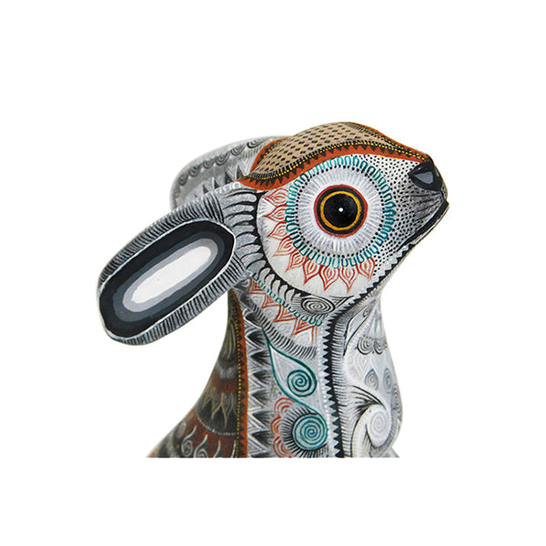 Raymundo Fabian: Exquisite Miniature Rabbit