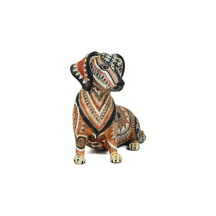 Raymundo Fabian: Miniature Dog