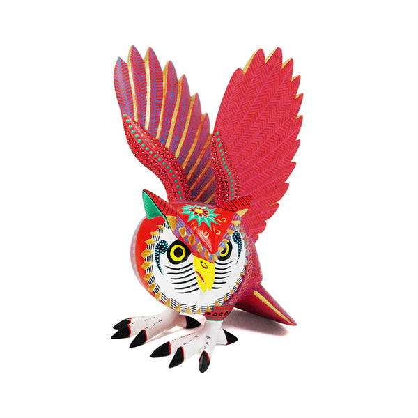 Rene Xuana: Barn Owl