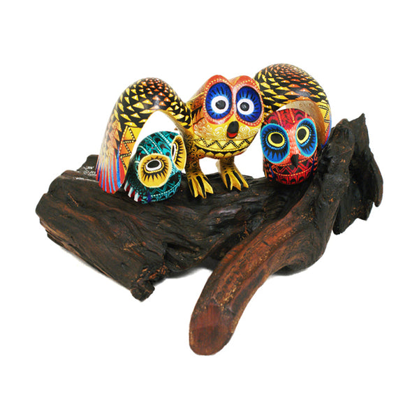 Rey Melchor: Mama Owl with Owlets