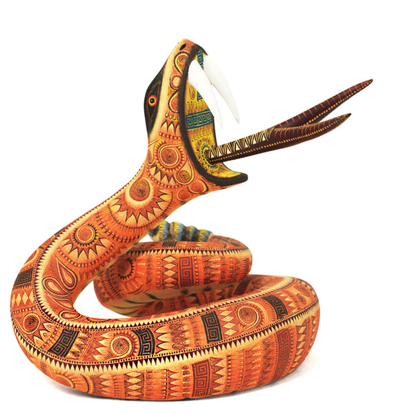 Rocio Fabian: Spectacular Rattlesnake