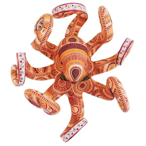 Rocio Fabian: Splendid Octopus
