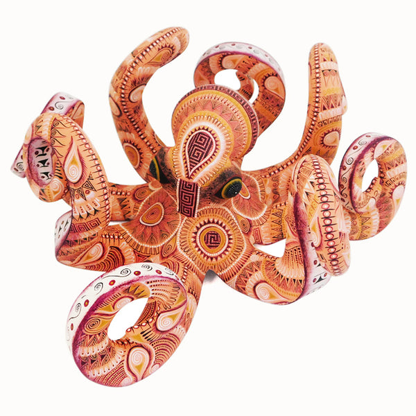 Rocio Fabian: Splendid Octopus