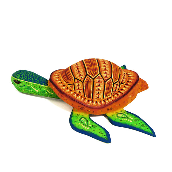 Rocio Fabian: Swimming Turtle