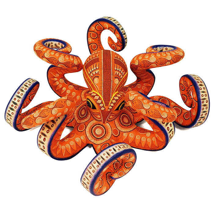 Rocio Fabian: Magnificent Octopus