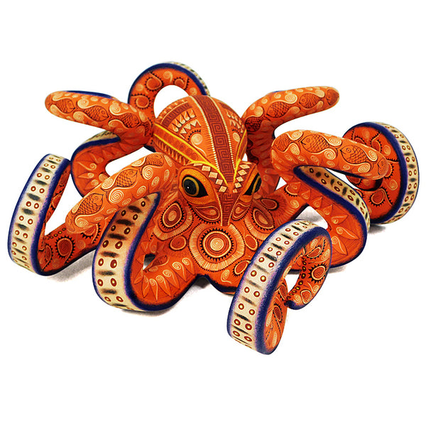 Rocio Fabian: Magnificent Octopus