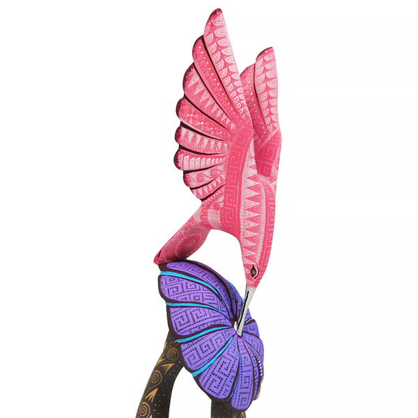 Rocio Fabian: Hummingbird