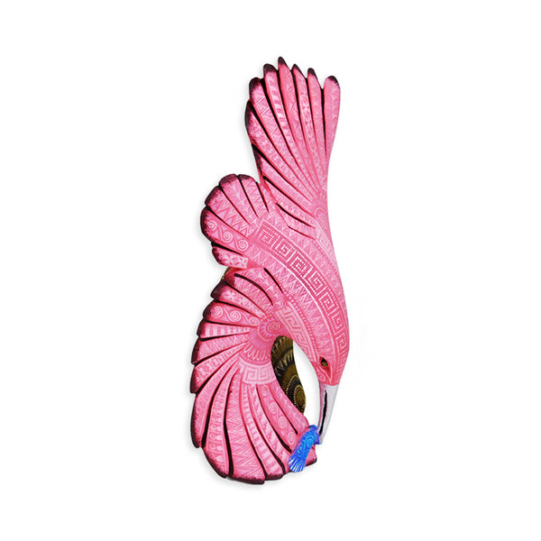 Rocio Fabian: Kingfisher